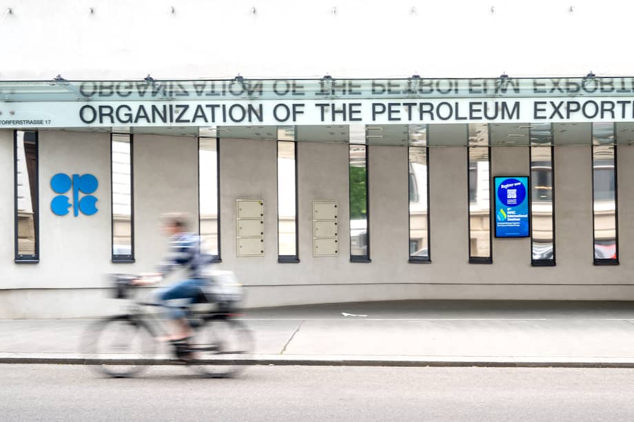 Imagen de referencia.