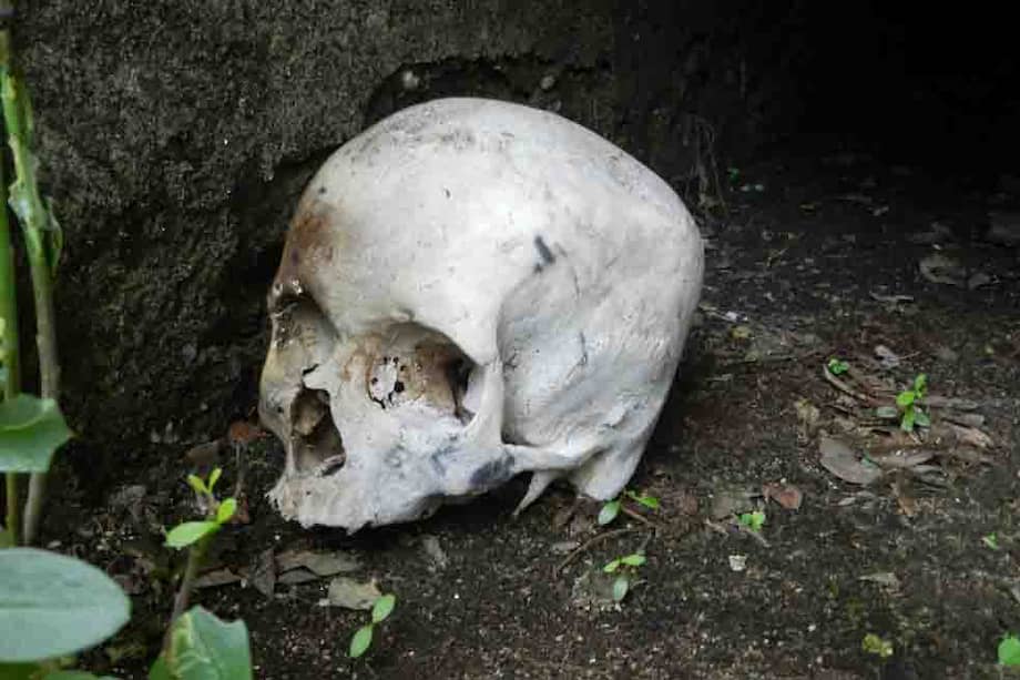 Imagenes del cementerio. /Cortesía Ricardo Angoso