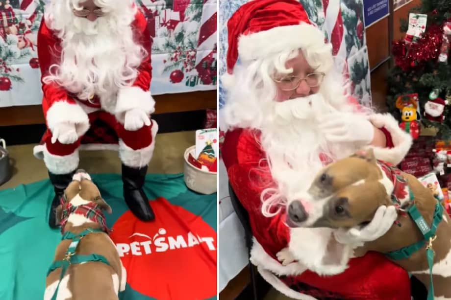 Aunque el animal ya se mostraba entusiasmado desde que ingresó al local, su reacción al ver a Santa fue especialmente emotiva.