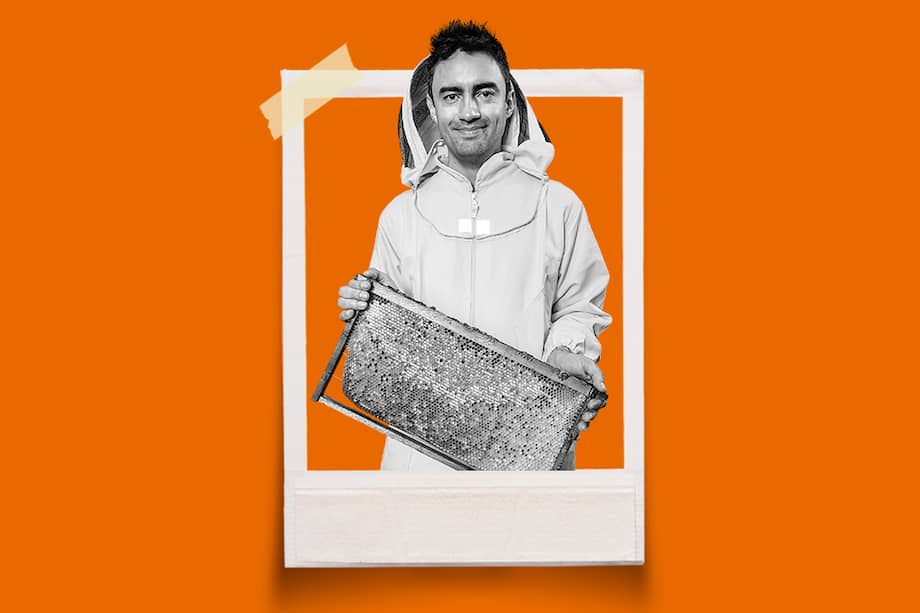 Gino Cala ha trabajado con diversas universidades e instituciones a través de Apisgreen.