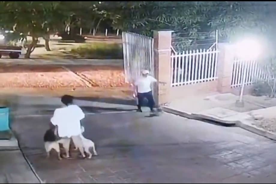 Las imágenes muestran el momento en que un pitbull se sale de control y ataca a una mascota dentro de un conjunto residencial.