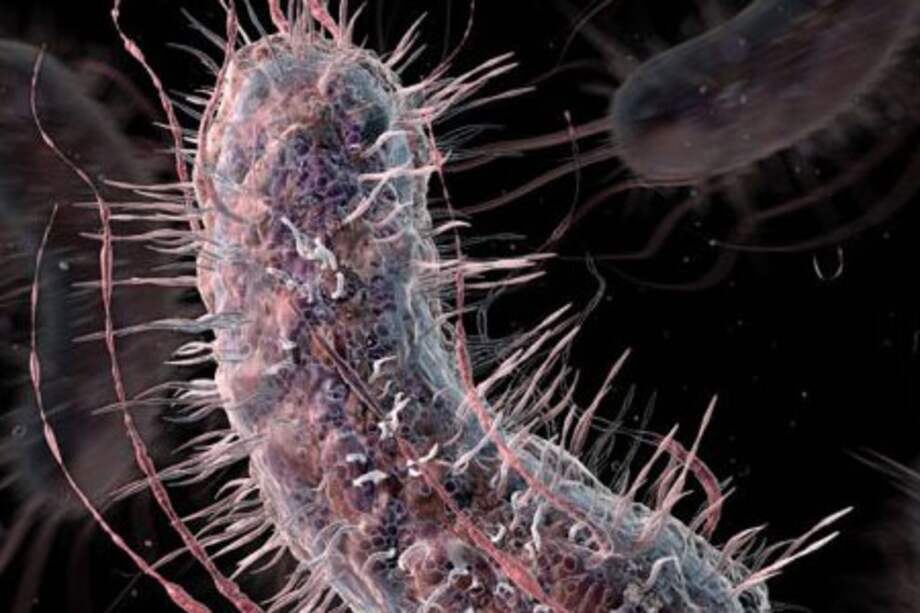 Diagnosticar el cáncer con una prueba de orina