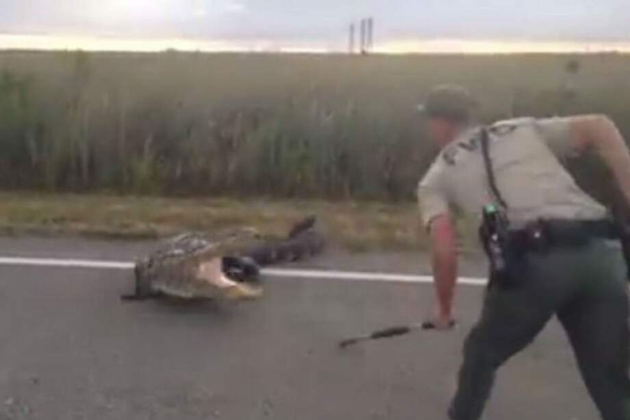 Captura de video / Captura de video