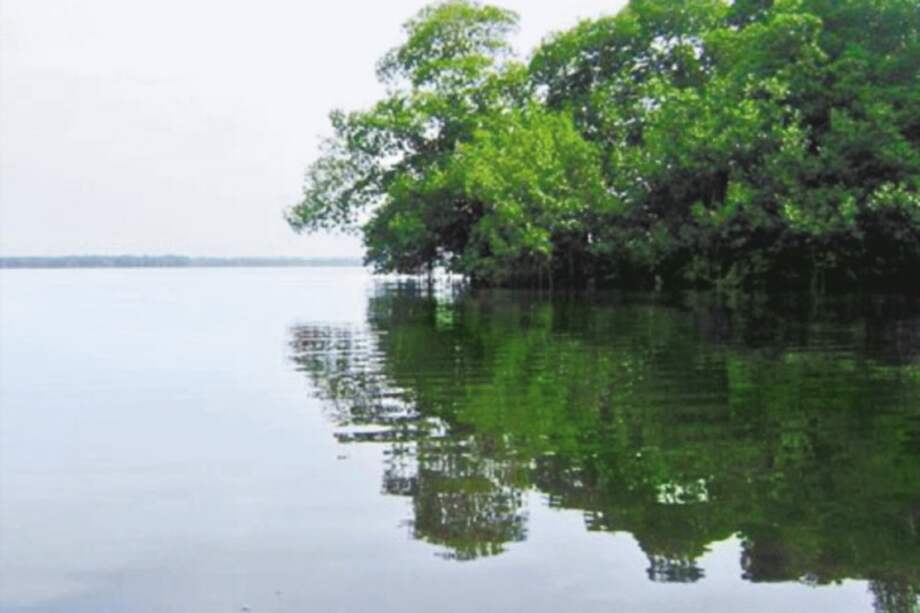 El proyecto portuario utilizará 7.5 hectáreas de las 27 mil que conforman el Distrito de Manejo Integrado de la Bahía de Cispatá. / Archivo