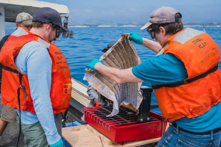 En recientes pruebas de aguas abiertas, Oleo Sponge funcionó tal como los investigadores habían predicho: fue capaz de eliminar con éxito el brillo del aceite de la superficie del agua, sin dejar rastros visibles. / (Imagen del Laboratorio Nacional Argonne).