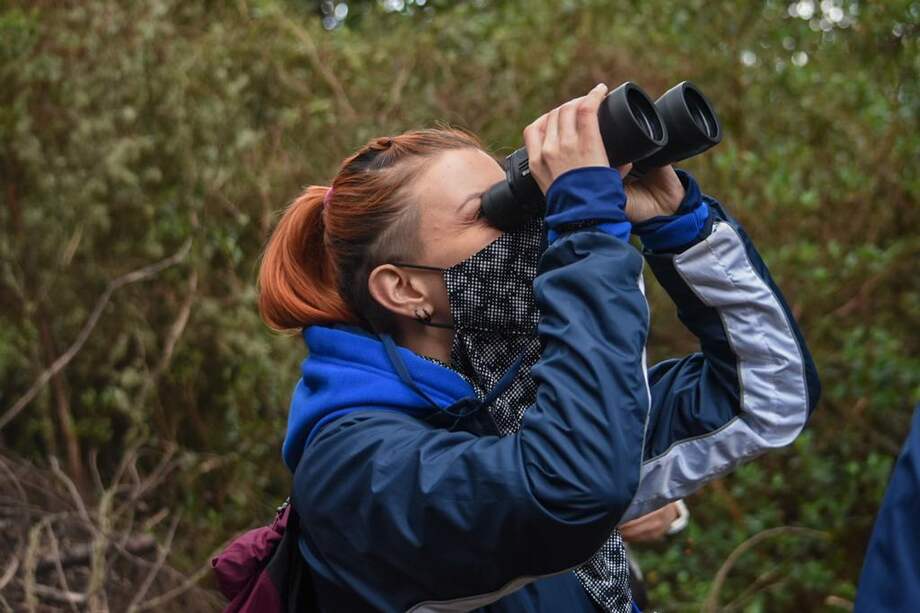 Colombia sigue consolidándose como destino avistamiento de aves