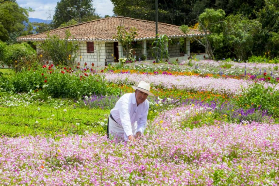 Los silleteros son considerados el símbolo tradicional de la Feria de las Flores. /Cortesía