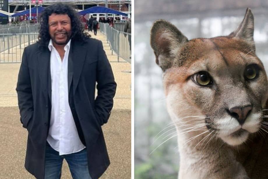 Corantioquia, la entidad ambiental responsable de esta zona del departamento, se hizo presente y comenzó una serie de capacitaciones para los habitantes de esta vereda. (Puma de referencia)