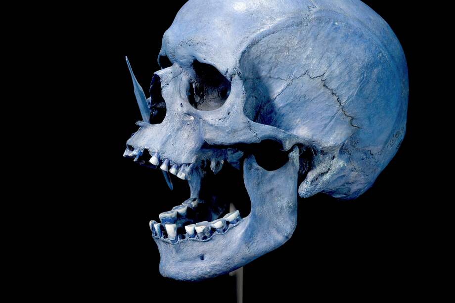 MADRID, 10/01/2024.- Imagen de uno de los cráneos del neolítico analizados en uno de los cuatro estudios publicados hoy miércoles en la revista Nature. EFE/ Museo Nacional Danés