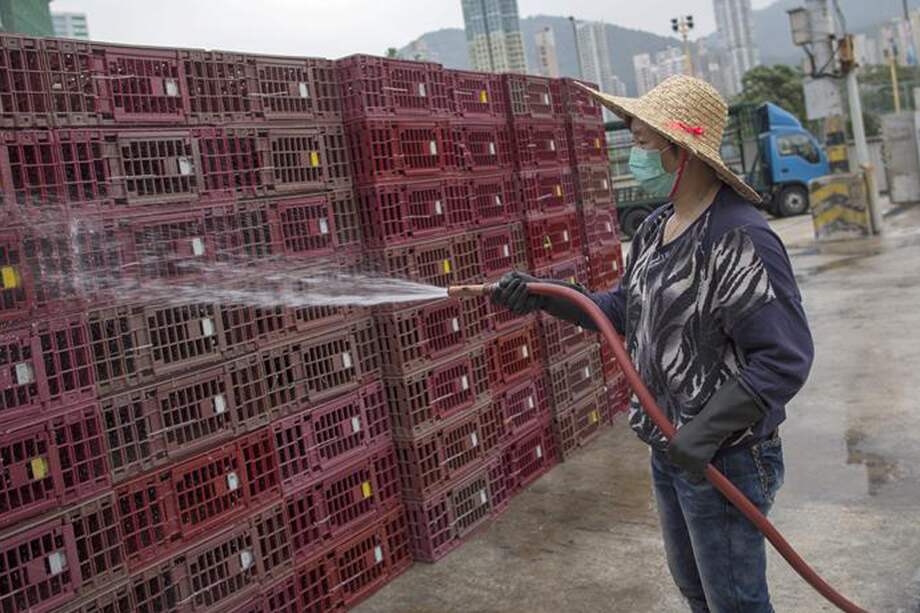 Gripe aviar en China afecta duramente al sector avícola