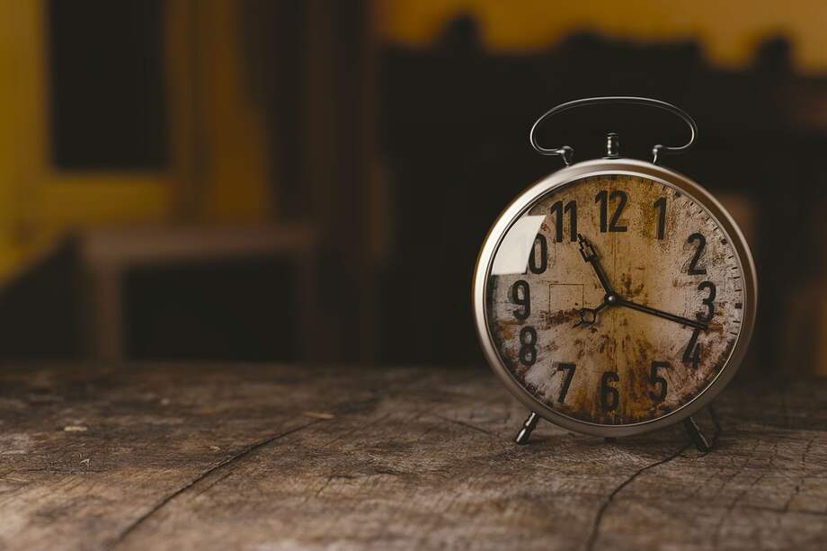 Imagen de referencia. En lugar de depender de señales tardías (como la caída de la natalidad o el colapso poblacional), los relojes epigenéticos pueden detectar cambios moleculares mucho antes de que una especie muestre signos visibles de declive.