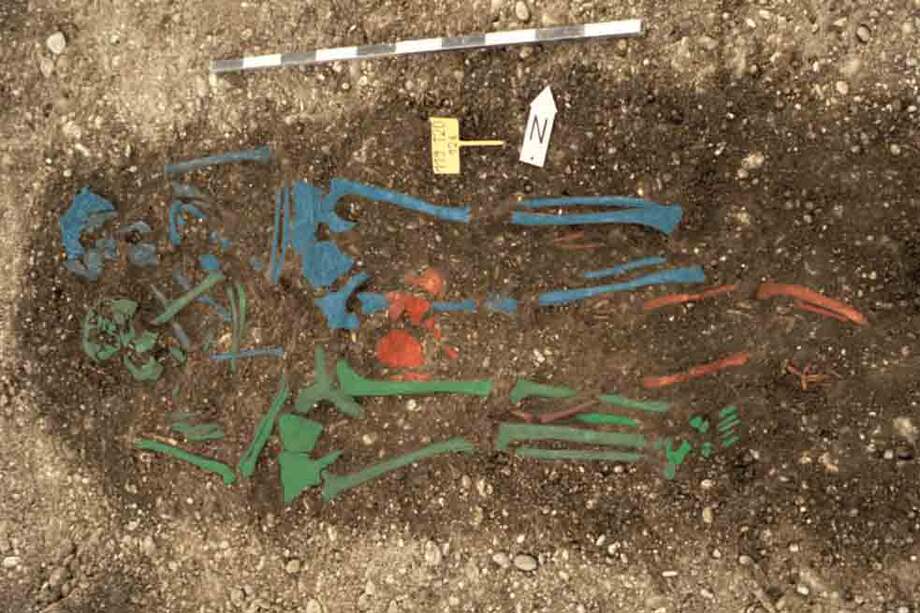 Dos esqueletos permitieron estudiar el origen de la primera pandemia de peste bubónica. / M. Harbeck