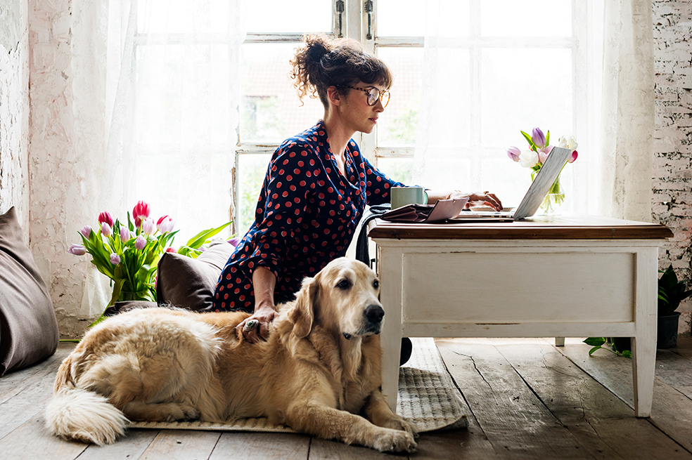Diez instrucciones para encontrar trabajo a través de internet