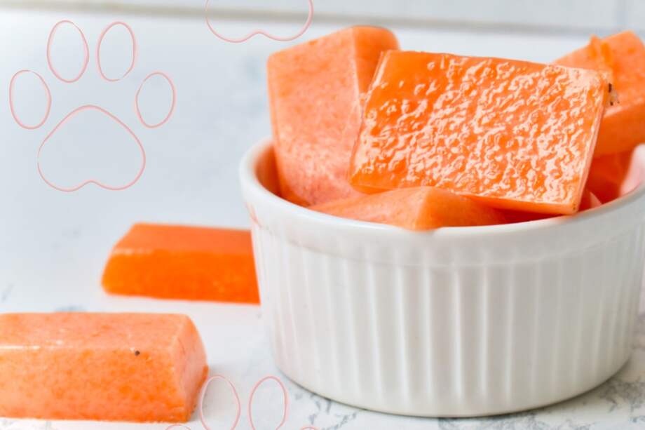 Una opción que tu mascota amará.