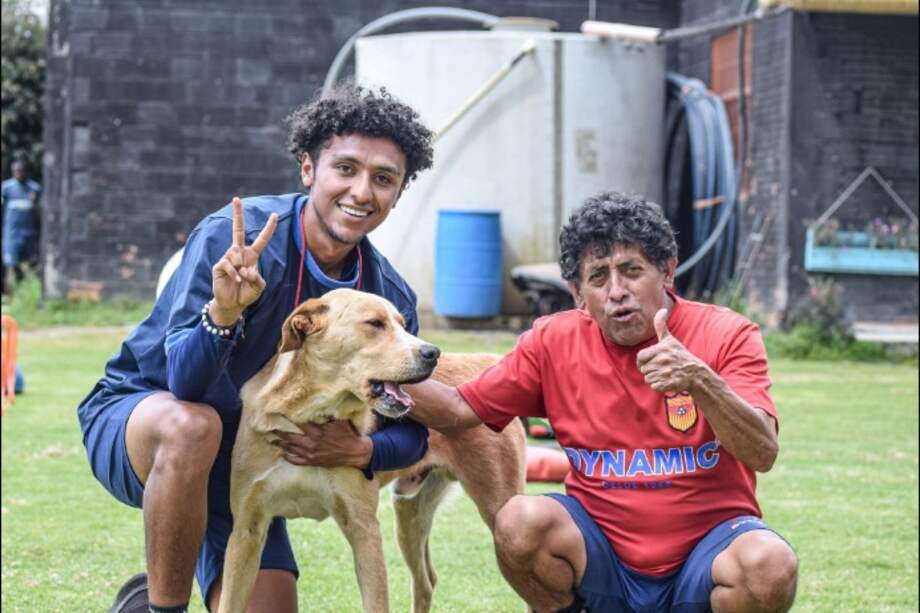 Bogotá F.C. fue fundado en 2003 y con esta campaña de responsabilidad social quiere animar a más equipos del Fútbol Profesional Colombiano para que apoyen la misma causa.