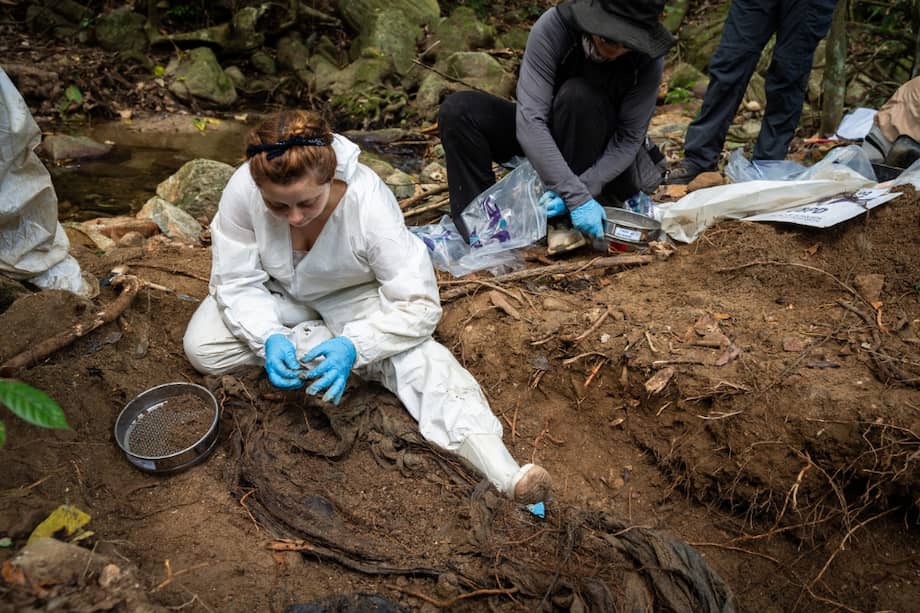 La víctima encontrada allí pasó más de 20 años en el silencio profundo que esconden los bosques de la Sierra Nevada. Un mutismo que se rompió justo en el momento en el que el equipo de la UBPD encontró el cuerpo. El rostro de los funcionarios pasó de la expectativa a la felicidad por ese hallazgo.