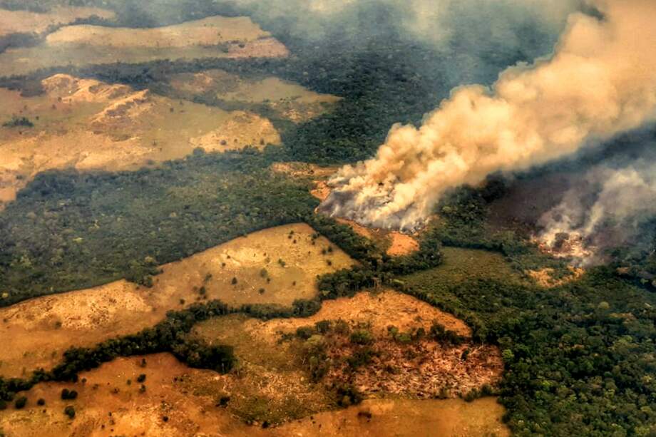 El último incendio registrado fue en la Serranía de La Macarena (Meta). / Cortesía John Myers