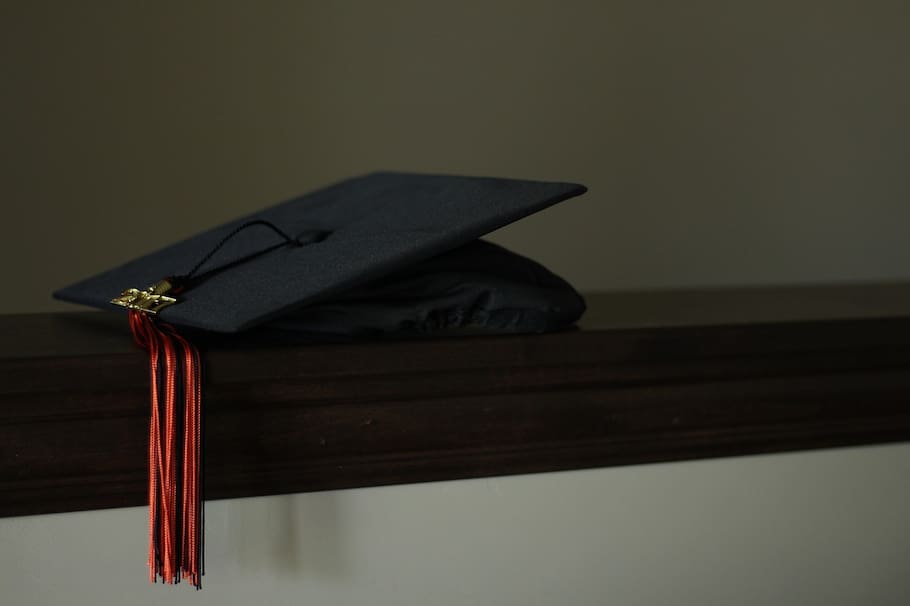 Konrad Lorenz entregó Doctorado Honoris Causa a Michael Domjan por su contribución a la psicología del aprendizaje.