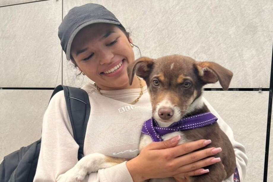 El IDPYBA recuerda que la adopción es un compromiso de largo plazo y debe ser asumido de manera responsable.