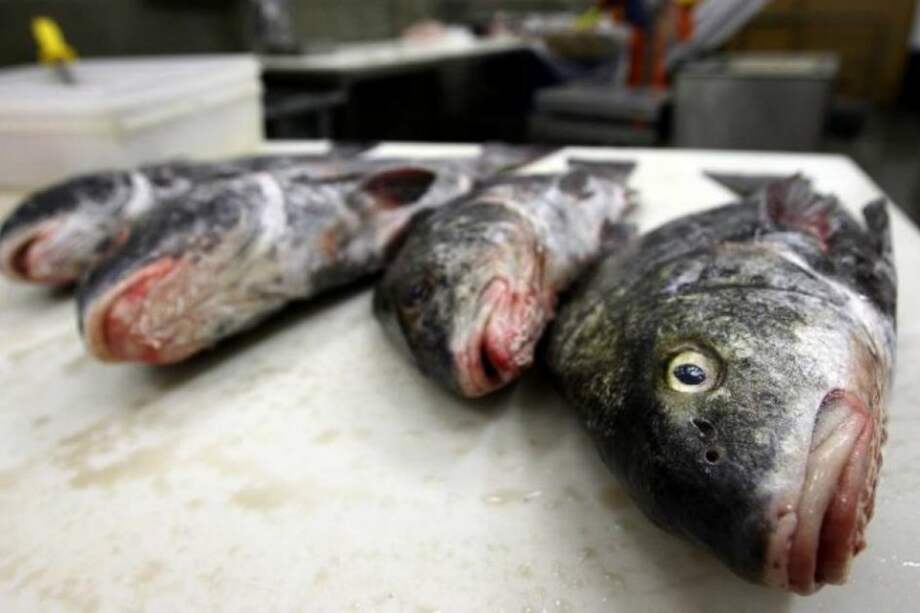 Cómo comprar pescado en Semana Santa