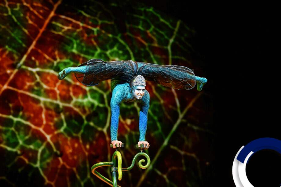 Página web Circo del Sol