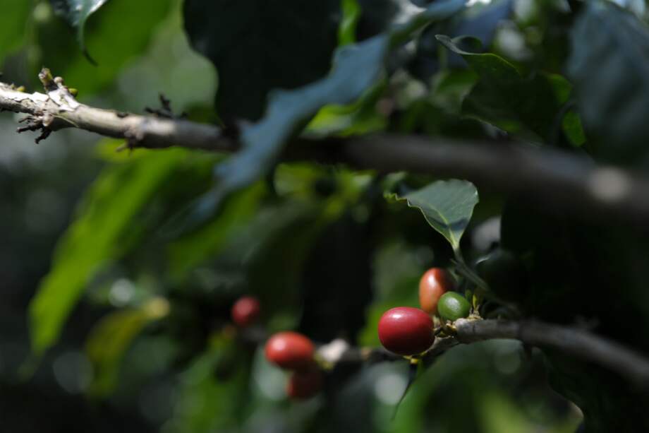 Archivo - El Espectador