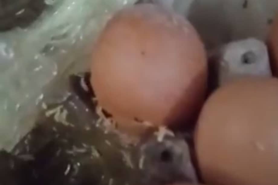 Denuncian mala calidad de alimentos entregados en mercados del Distrital