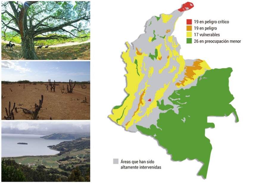 Bioma de bosque seco tropical, bioma de desierto tropical y ecosistemas húmedos son algunos de los que están en crítico. / Cristian Garavito (El Espectador) y Petruss (Wikimedia Commons).