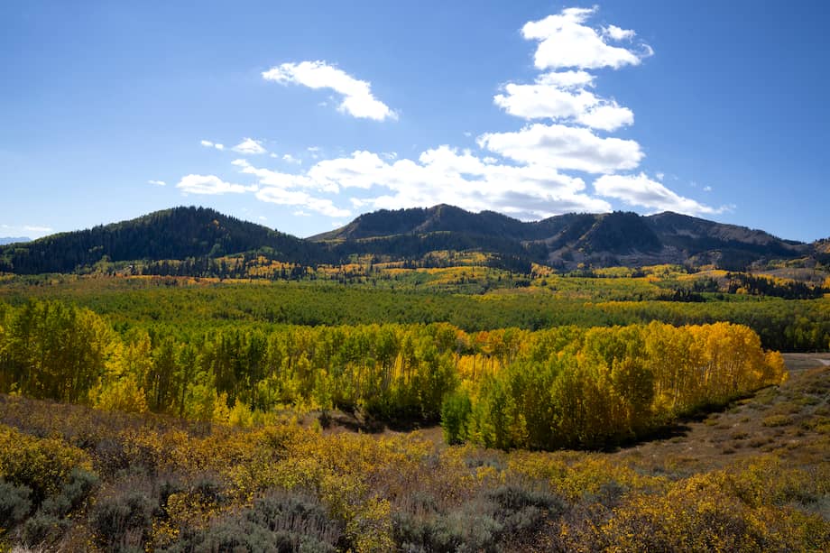 El Sendero de los Apalaches es una ruta señalizada de senderismo de largo recorrido del este de los Estados Unidos