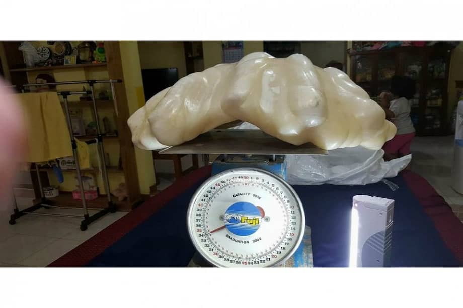 / Foto: Oficina de Turismo de Puerto Princesa