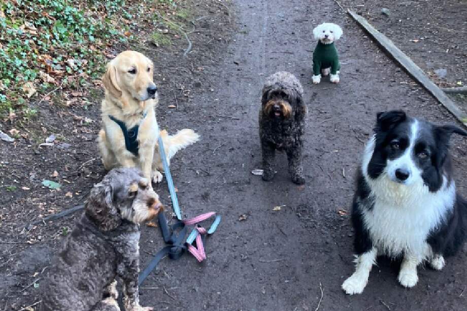 Su dueña aseguró a los seguidores que Peanut sí tiene un amigo en el grupo llamado Basil.