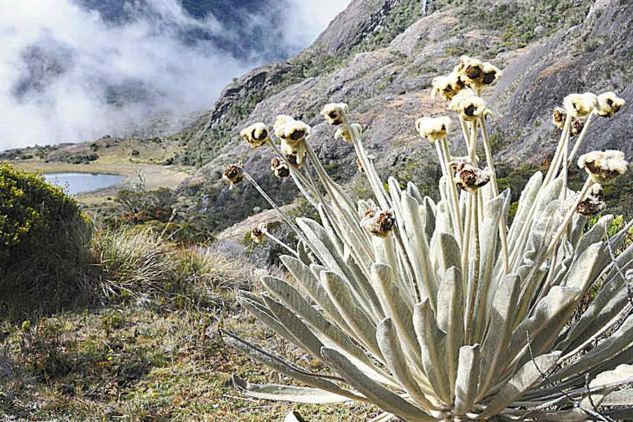 Desde 2010 no se permite ninguna actividad minera en los parques regionales.