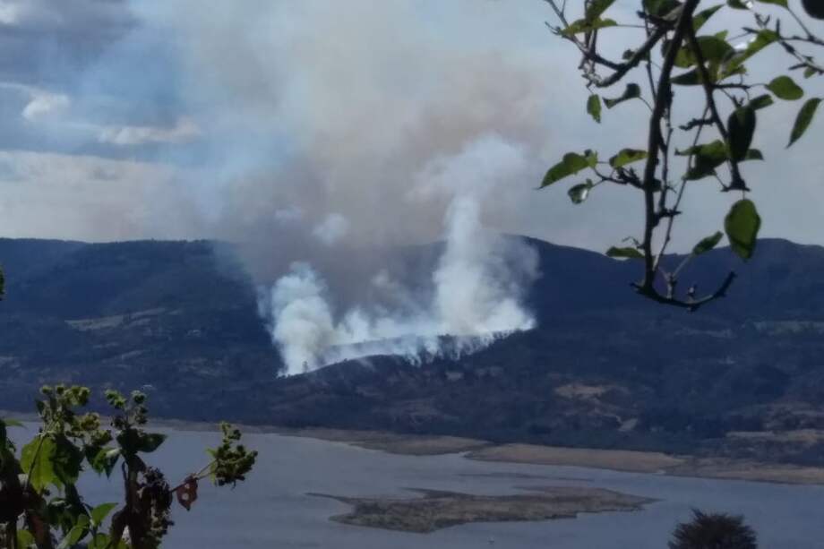 De acuerdo con el capitán Álvaro Farfán, delegado departamental de Bomberos de Cundinamarca, se estima que cerca de 15 hectáreas de bosque nativo han sido afectadas por el incendio forestal.