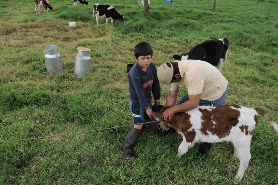 Informe sobre el trabajo infantil/ Archivo