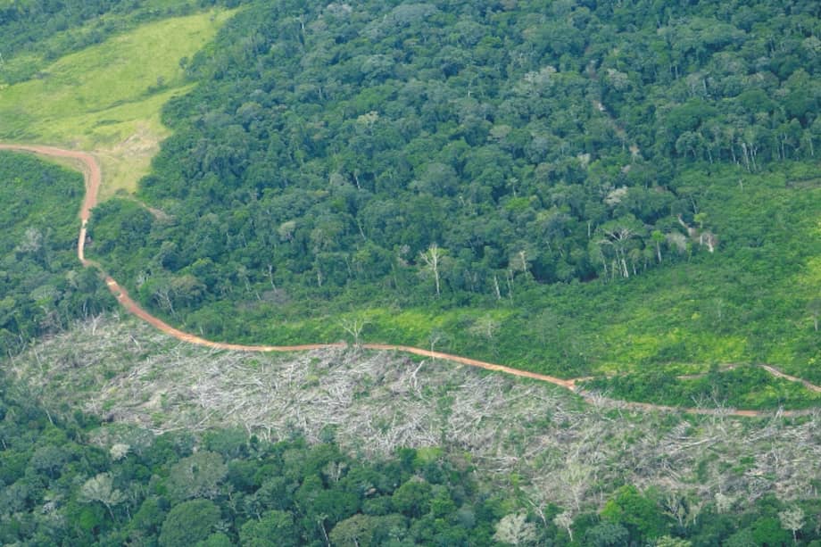 La construcción de carreteras suele impulsa la destrucción de ecosistemas en regiones tropicales como la Amazonia colombiana. / Cortesía Fundación para la Conservación y el Desarrollo Sostenible.