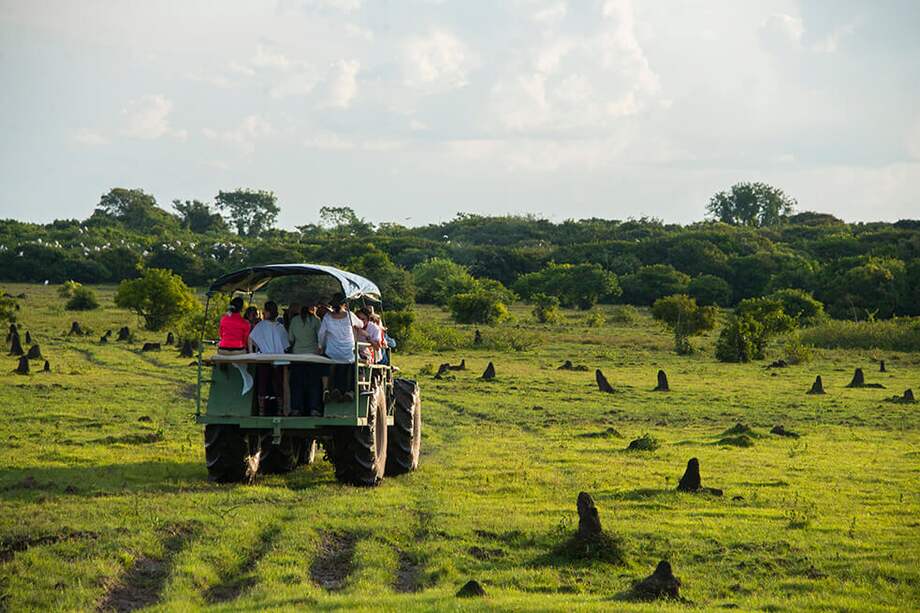 Visita turística a Hato El Encanto para avistamiento de aves. / Cortesía - ProColombia