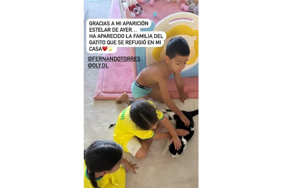 Uno de los dueños del gato resultó ser exjugador del Atlético de Madrid.