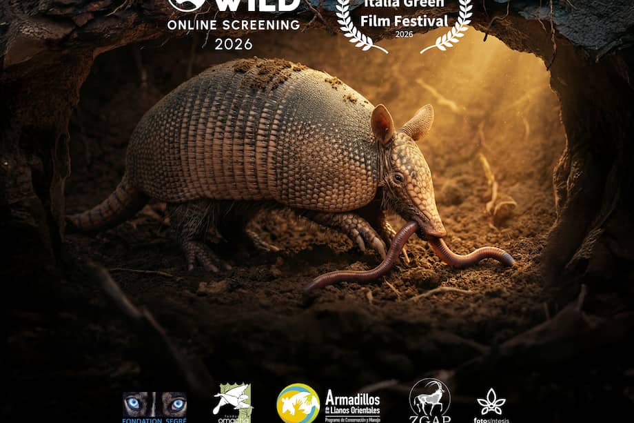 Cartel documental “Armadillos, la voz bajo el suelo"