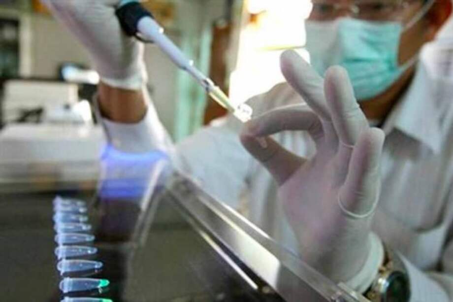 Gobierno prevé más de 600.000 infectados por virus zika este año