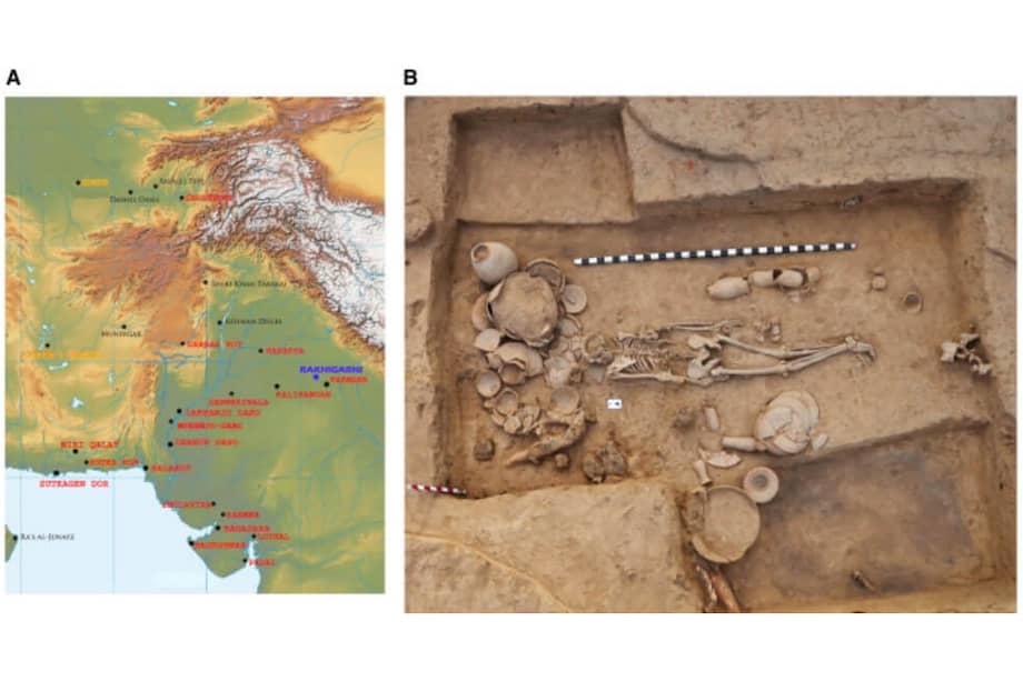 La imagen A se refiere al contexto arqueológico del individuo que produjo ADN antiguo. La B es la fotografía de un entierro y objetos sepulcrales proveniente de la civilización del Valle del Indo. / Tomado del estudio en Cell, llamado "Un antiguo genoma de Harappan carece de ascendencia de pastores esteparios o agricultores iraníes"