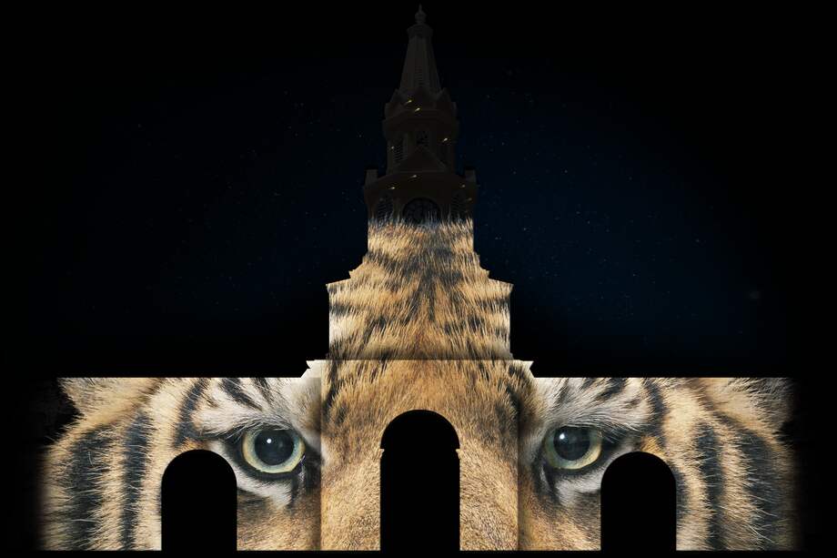 Mapping contra el comercio ilegal de especies / Tim Flash - Mapping Timbo Studios