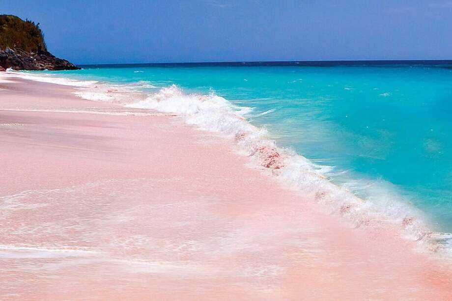 Tomada de wallpaperspal.com / Tomada de wallpaperspal.com