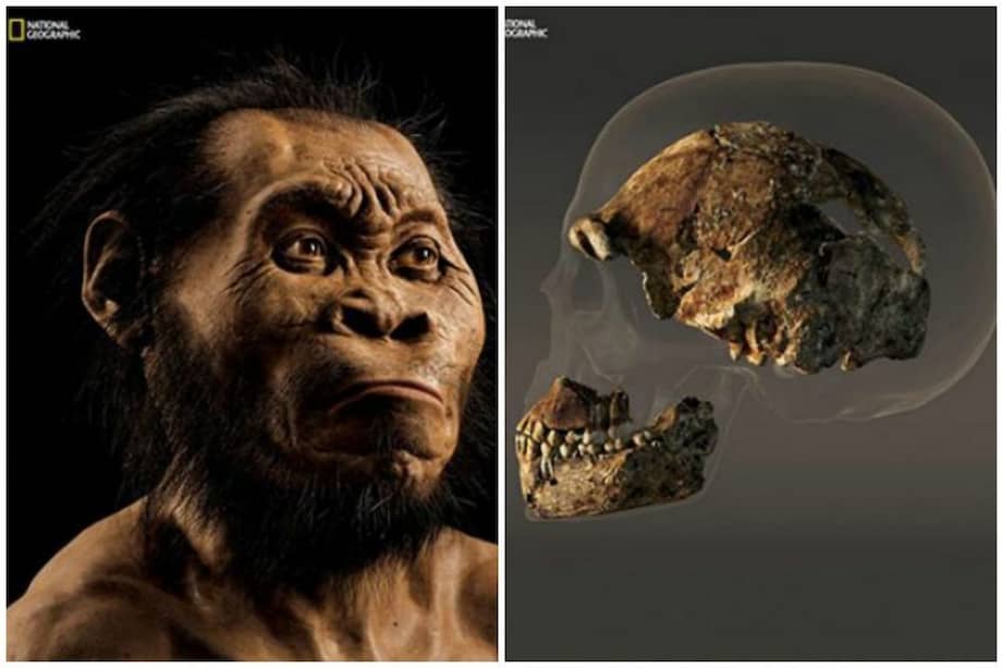 Homo Naledi.