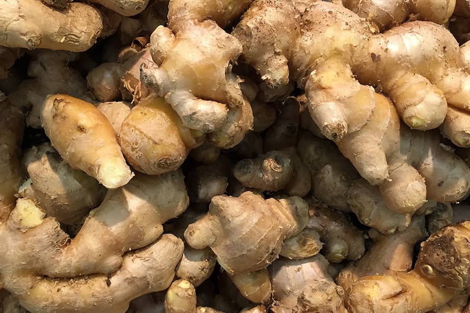 El jengibre puede mejorar la salud del suelo, estimular el crecimiento y fortalecer las defensas naturales de tus plantas.