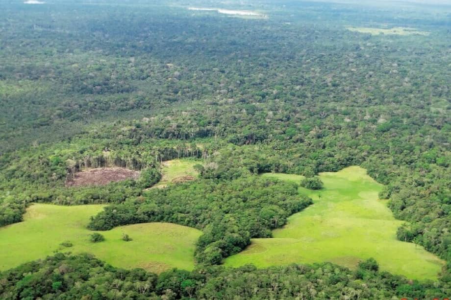 En el caso colombiano, la Amazonia es la región más deforestada. / Instituto Sinchi