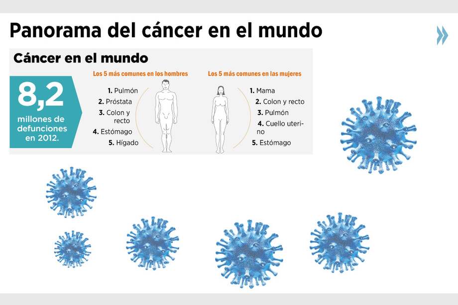 Ver infografía