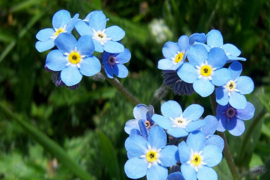 Este 9 de abril #NoMeOlvides