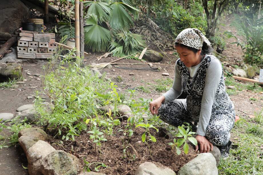 Aura Luz Bastidas Samboní, del pueblo Yanacona.