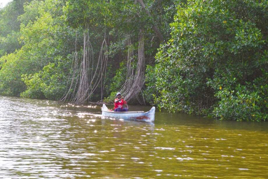Cerca de 2.000 pescadores y mangleros dependen de los manglares de la bahía de Cispata. / Fotos: María Paula Rubiano