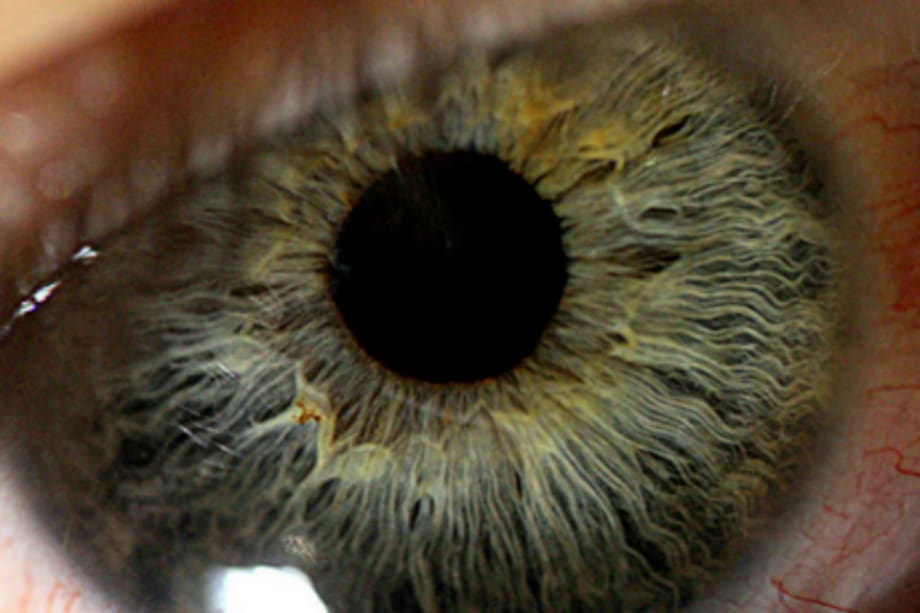 Diez tips para evitar los ojos cansados